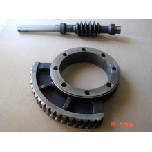 High Quality Worm and Worm Wheel From China